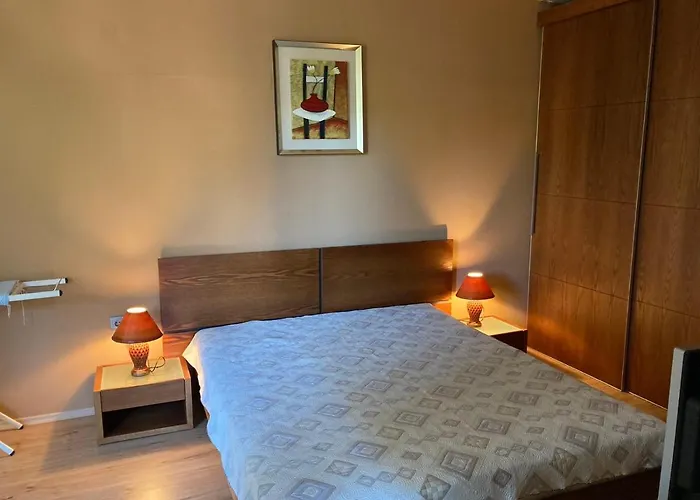 за гости свети трифон 팜포로보